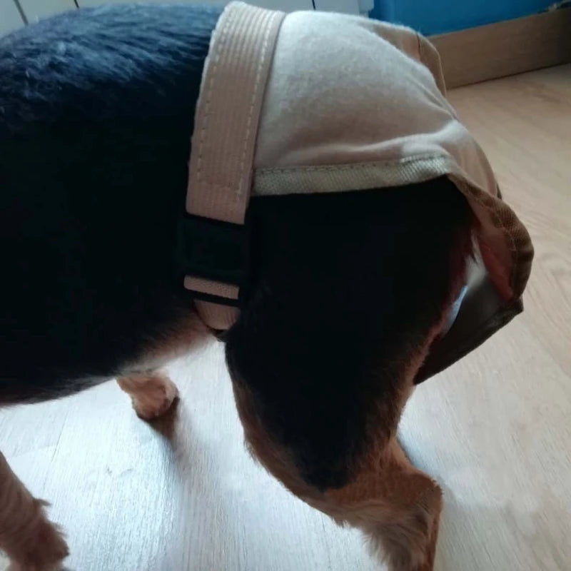 Pets Underwear Puppy Pants Dog Physiological Diaper Sanitary Panties Shorts Washable Menstruation Briefs Pet Accessories