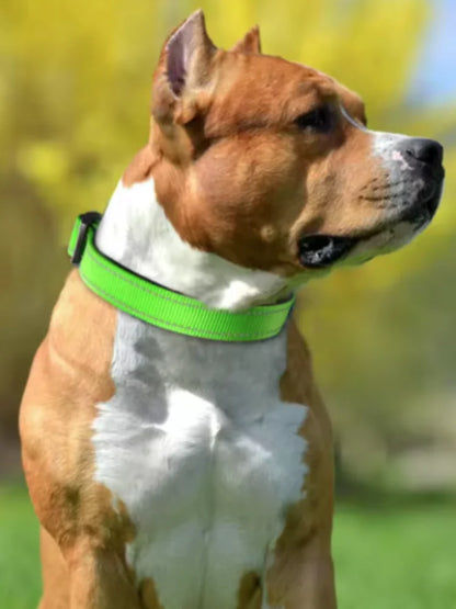 Dog Collar Reflective Strap With Safety Nylon Pet Collar Adjustable Pet Traction Rope Suitable For Small And Medium-Sized Pets