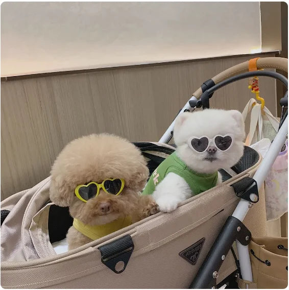 Fashion Pet Products Sunglasses Retro Solid Color Round Convenience Glasses Eyeglass For Pet Photos Props Accessories