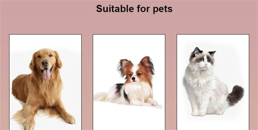 Pet Cat Dog Car Seat Belt Adjustable Pet Dog Seat Breakaway Solid Car Harness Outdoor Travel Safety Protector Pets Accessories