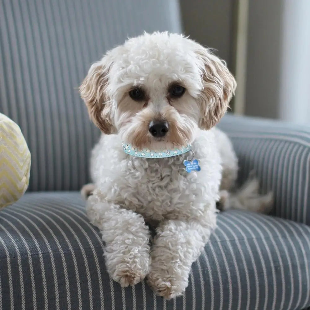 Pet Rhinestone Collar Three Rows Bling PU Leather Dog Collar Pet Dog Cat Puppy Collar Adjustable Dog Collars For Pets Dogs Cats